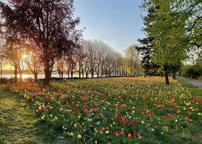 Hotel Am Borsigturm 4*