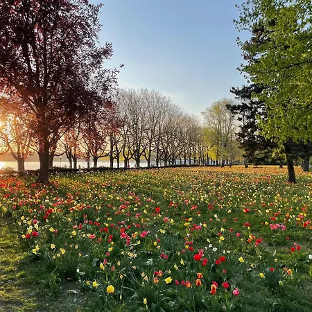 ホテル Am Borsigturm 4*